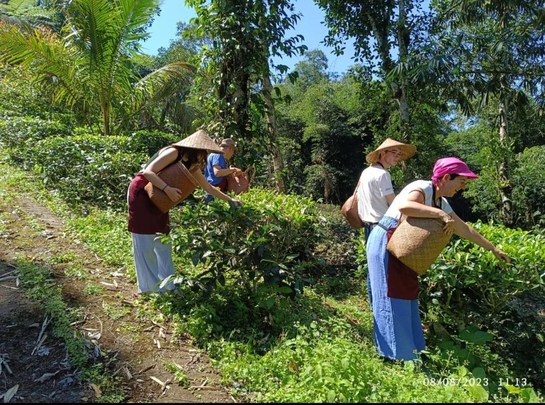 Dwan Tea Mountain Side Bed & Breakfast Jatiluwih Luaran gambar