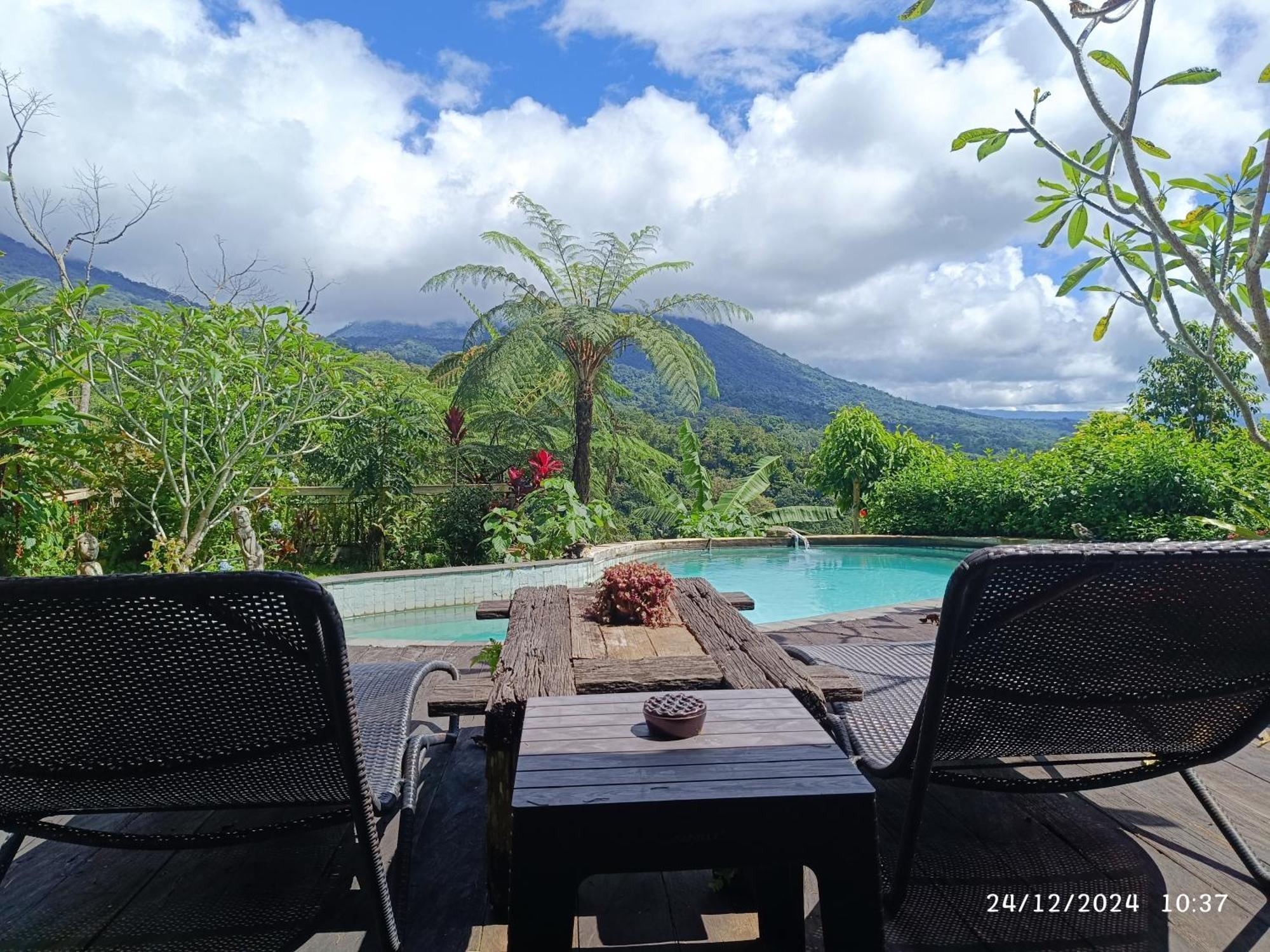 Dwan Tea Mountain Side Bed & Breakfast Jatiluwih Luaran gambar