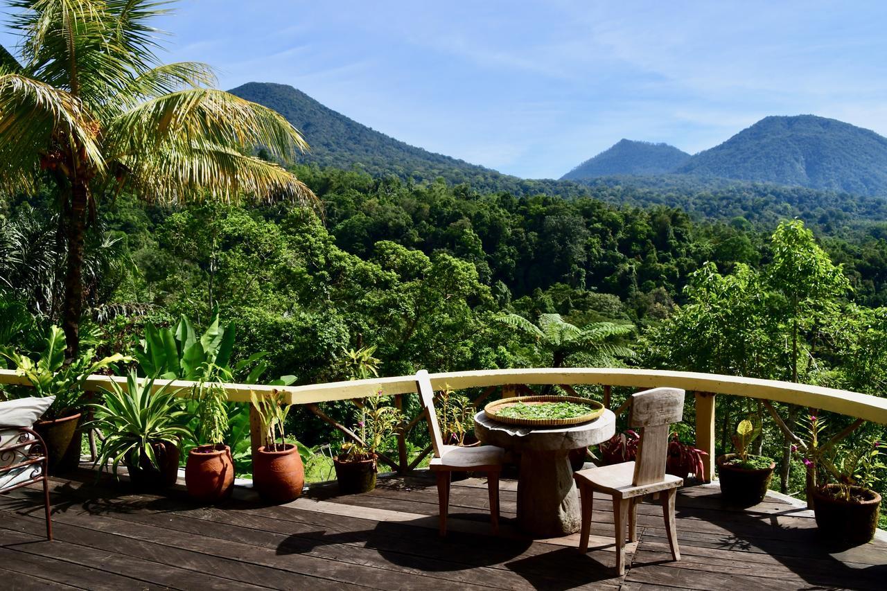 Dwan Tea Mountain Side Bed & Breakfast Jatiluwih Luaran gambar
